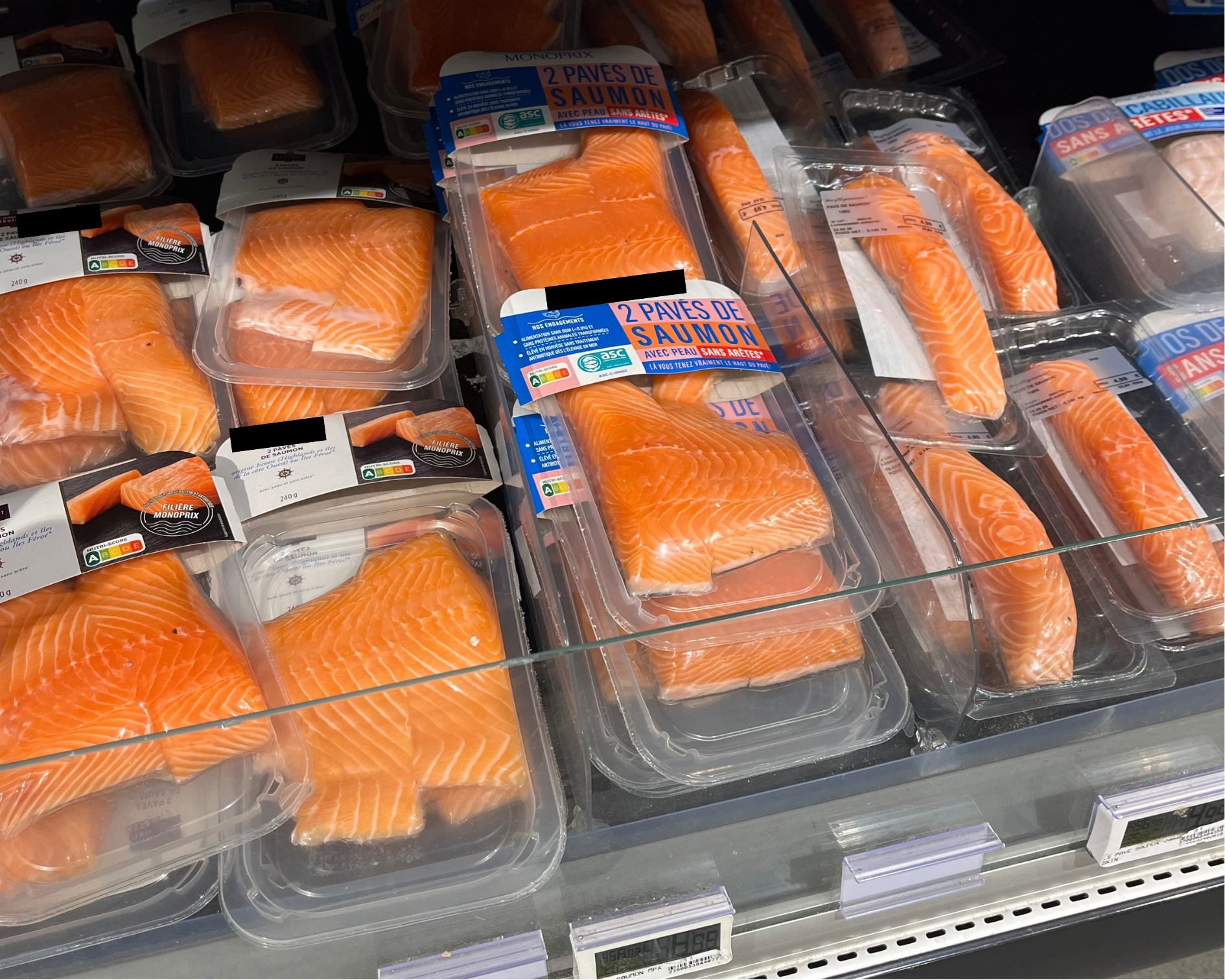 Cages d'élevage de saumons installées au large d'une côte